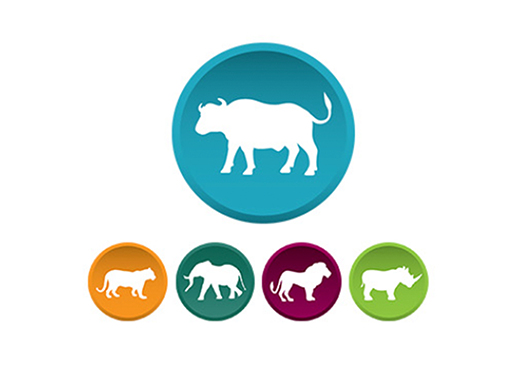 The Buffalo