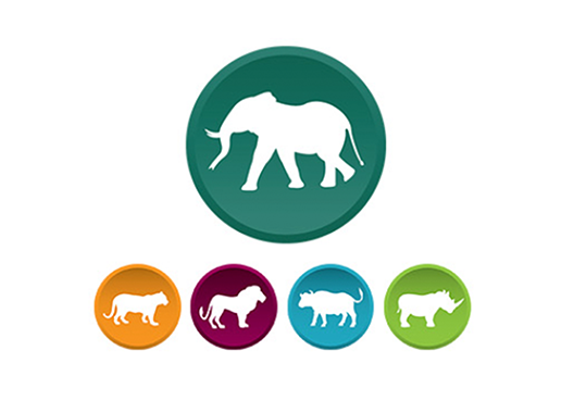 The Elephant